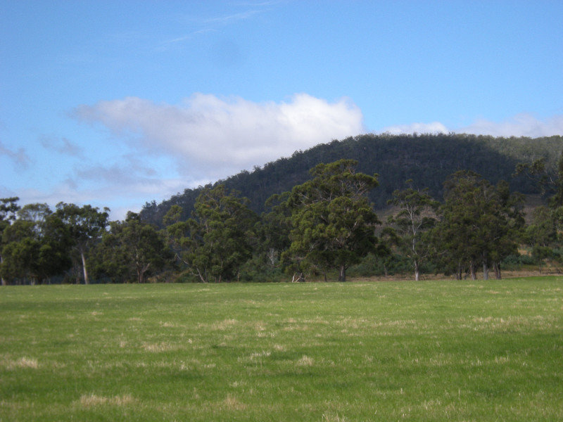 2. Mount Field - Hobart to Strahan Drive