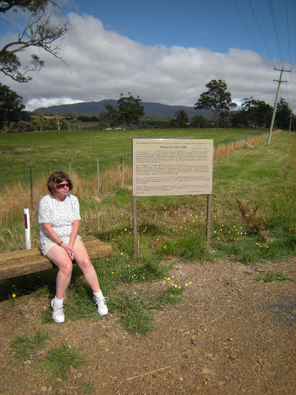 4. M at a Viewpoint Outside of Ellendale, Hobart to Strahan Drive