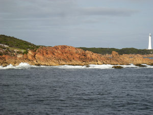 29. Cape Sorrell from the Roaring Forties
