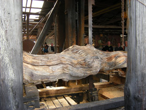 75. Huon Pine Sawmill, Heritage Cruise