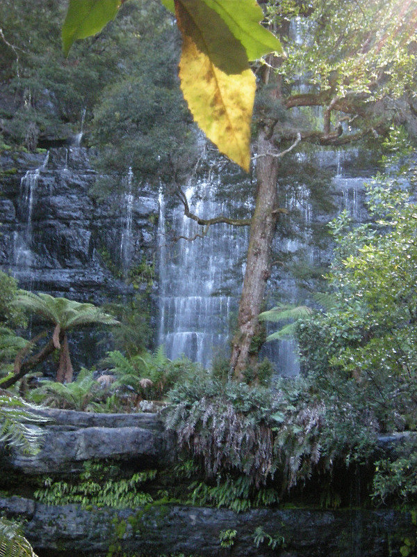 48. The Top of Russell Falls