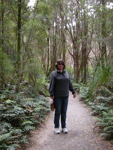 18. M on the Nelson Falls Track