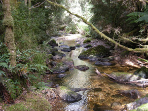 20. The Stream, Nelson Falls Track