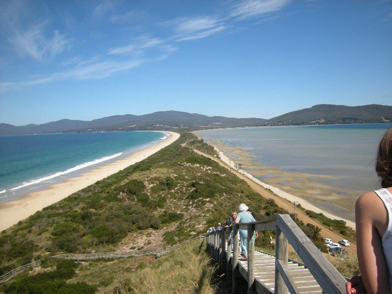 5. View Penguin Lookout,  The Neck  Bruny Island