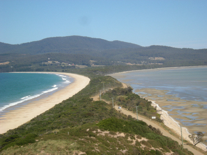 6. View Penguin Lookout,  The Neck  Bruny Island