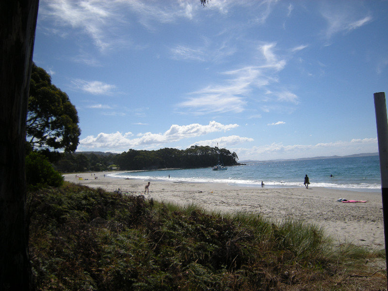 14. The Beach Near Captain Cook's Landing Place