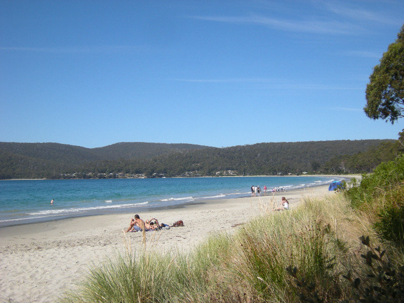 16.  The Beach Near Captain Cook's Landing Place