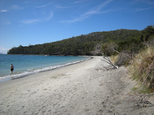 19.  The Beach Near Captain Cook's Landing Place