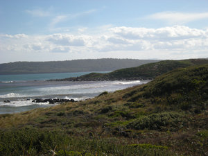 31. View Along Coast from Whalebone Point