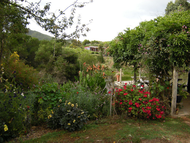13. Geoff & Elizabeth Gleave's Garden