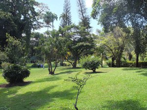 26.  St Vincent Botanical Gardens