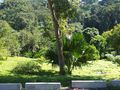 7.  Dominica Botanical Gardens