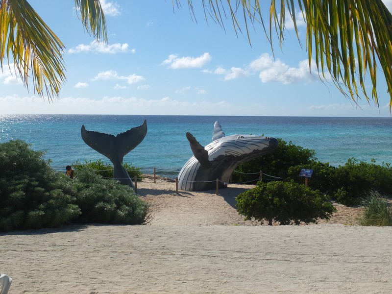 11. Humpback Whale Sculpture at Govenor's Beach