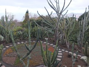 33. Cactus & Succulent Garden at the Jardim Botanico