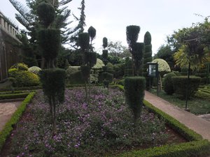 34. Topiary Garden at Jardim Botanico