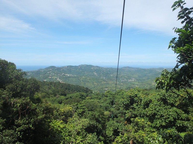 14. View of the Rainforest Canopy on the Descent