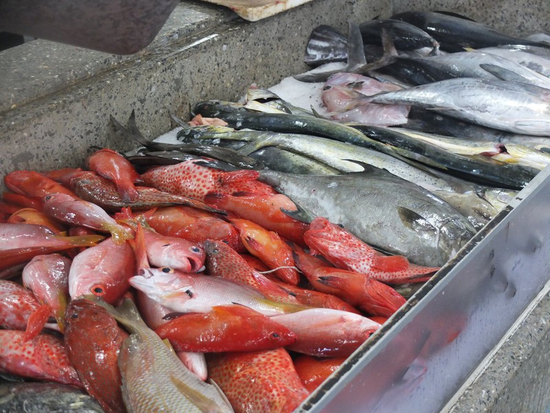 5. Kingstown Fish Market