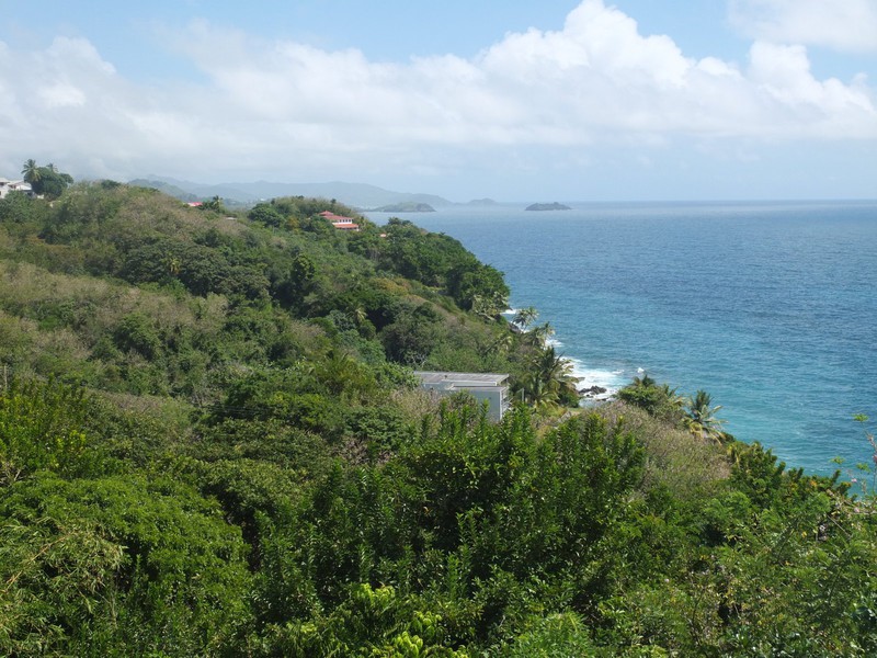 1. View of the Atlantic Coast of Tobago