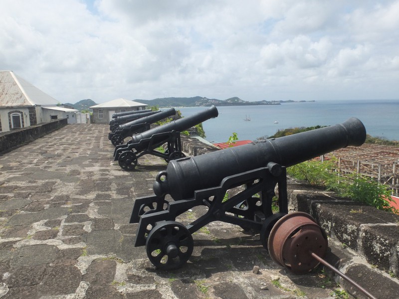 9. Canon at Fort George