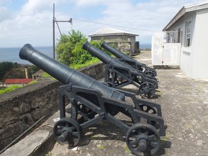 12. Canon at Fort George