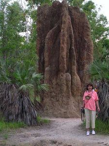 Darwin - M with Termite Mound at  Litchield National Park