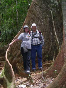 New Caledonia - D and M on Forest Walk