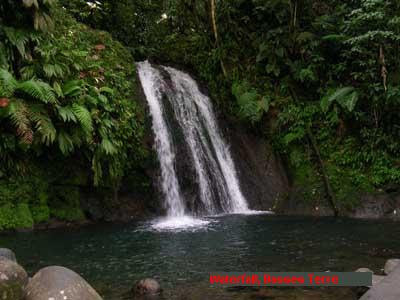 Guadoloupe -  Waterfall