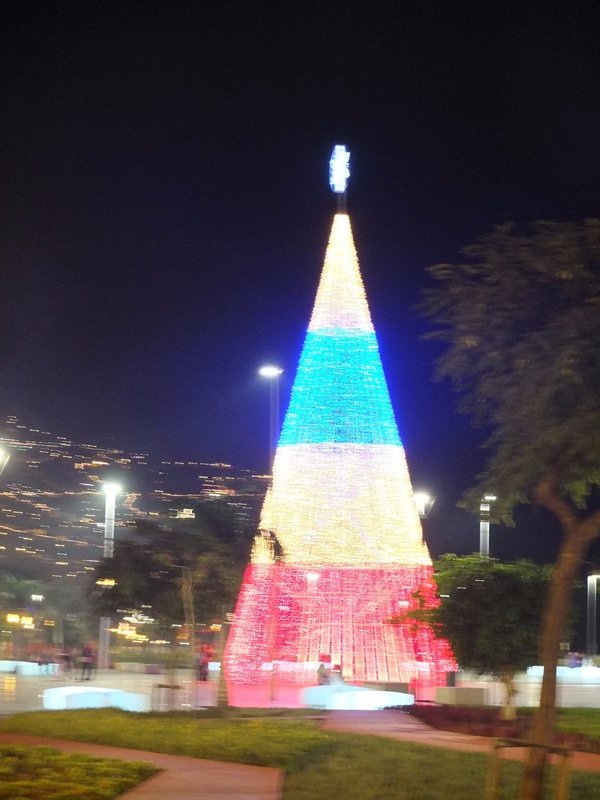 30.  The Christmas Lights at Funchal