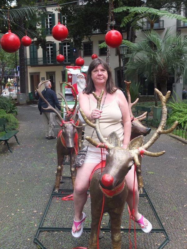 73.  M on a Reindeer, The Park, Funchal