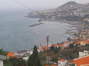 50.  Funchal and Braemar from the Bus