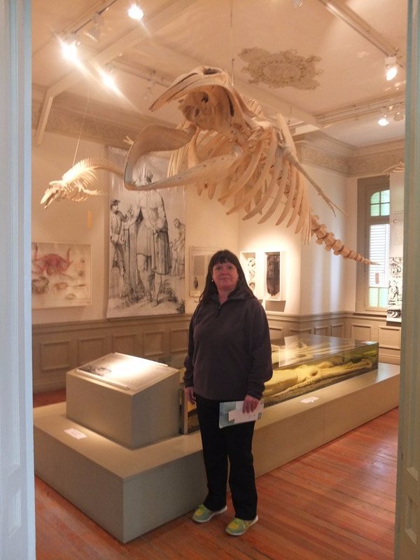 48.  M with the  Pigmy Sperm Whale Skeleton