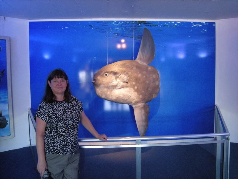16.  M with a Tu Fish, Oceanographic Museum