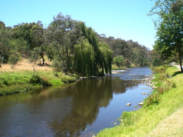 Yarra river