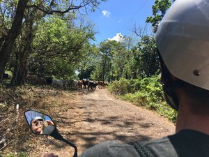 Moto-Tour über Ometepe I