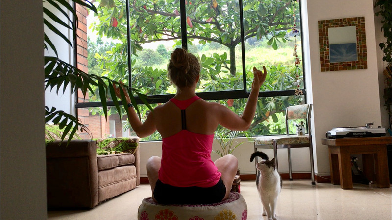 Meine Mitbewohnerin in Medellín - Frau Katze - wundert sich über den merkwürdigen Besuch