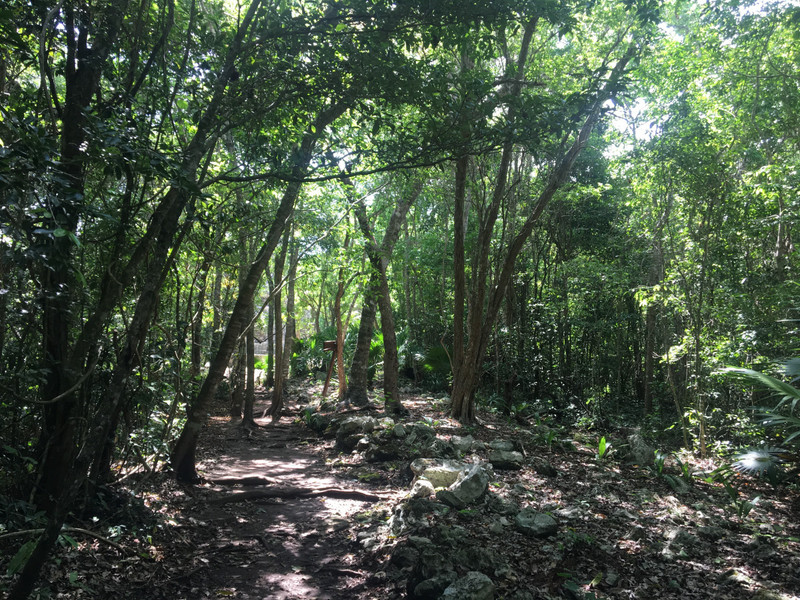 Muyíl - Dschungeltrek
