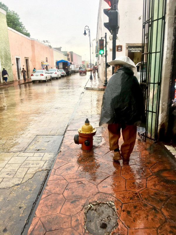 Ein Mexikaner im Regen...