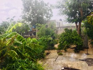 Tropenregen: 6 Tage lang