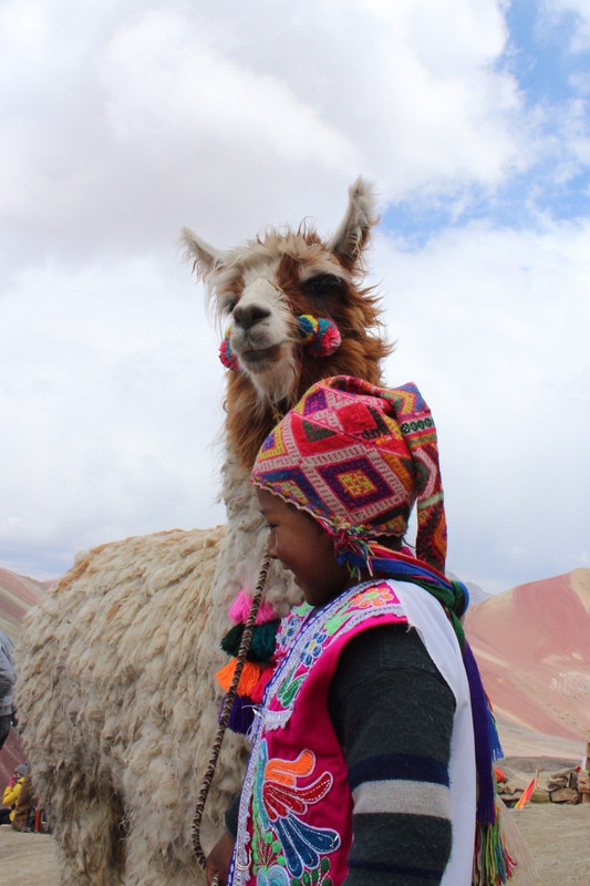 Lamas und Kinder am Gipfel - ein Touristen-Magnet
