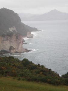 Cathedral Cove through the Drizzle