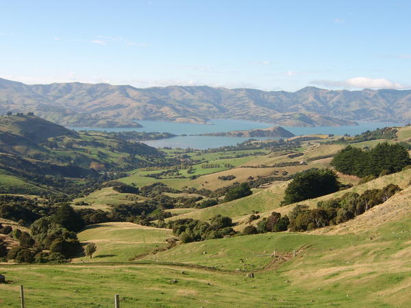 Typical NZ view