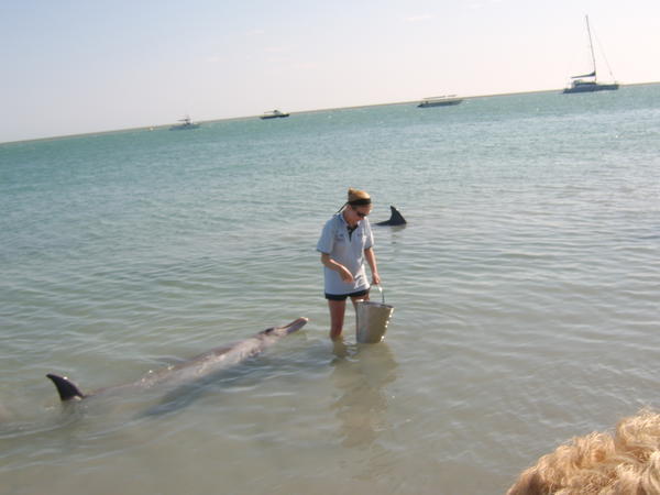 Me with the dolphins