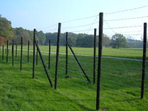 Fence for the Prison Area