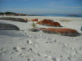 Beautiful bay of fires