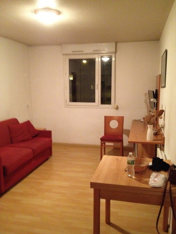 Living room in Grenoble
