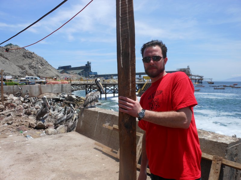 Colosa fishing village/Kurt & pelicans = &lt;3