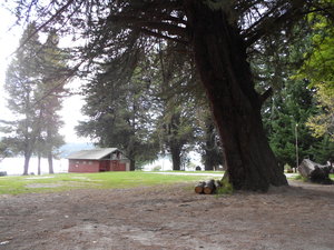 Bariloche Camping by Lago Moreno