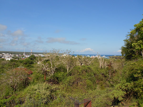 View of Puerto Ayora