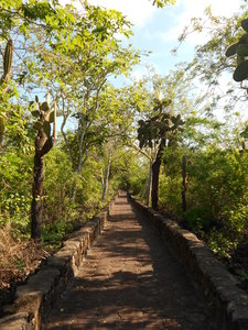 Path to Tortuga Bay
