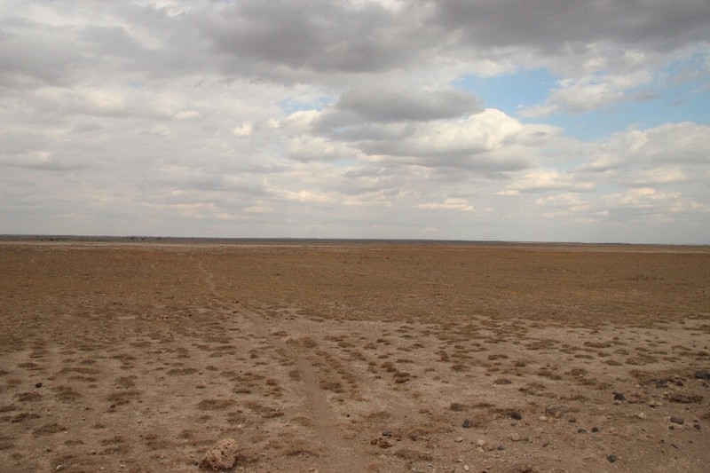 Amboseli Desert